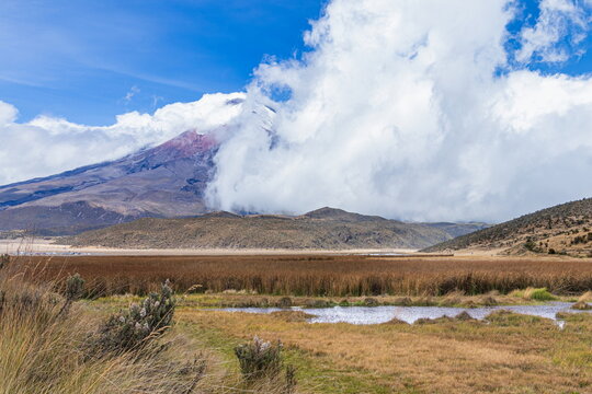 A beautiful panoramic view the majestic, snow-capped Cotopaxi active volcano partially covered by clouds and of the lake Limpiopungo in Cotopaxi National Park, Ecuador