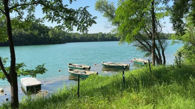 Boote auf dem Rhein im Sommer Leopoldshafen