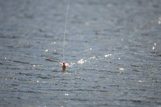 Fishing float on the water surface with fishing line and sunlight reflections