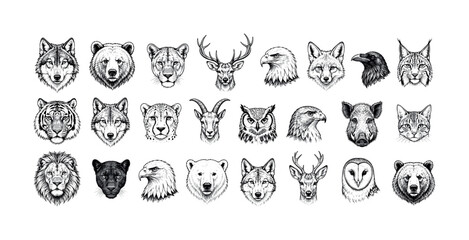 Obraz premium Collection of detailed animal head illustrations in black and white sketch style