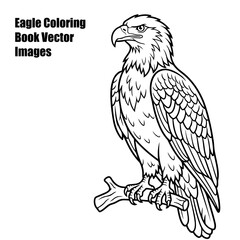 Fototapeta premium Eagles Coloring Vector