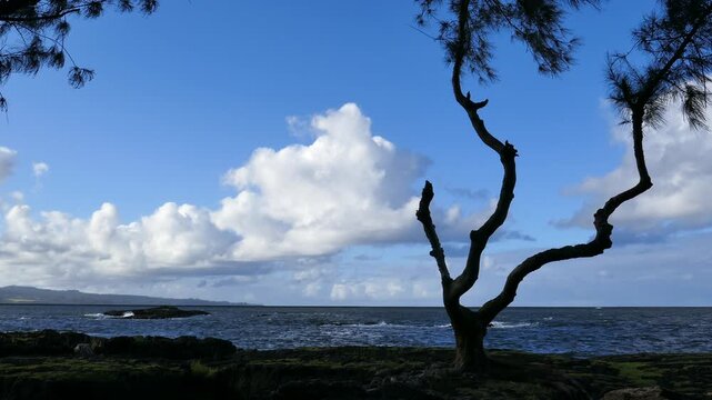 View from Coconut Island (Moku Ola) in Hilo Bay, Hilo, Hawaii. Located on the east side of the big island. Shot on a hazy late afternoon on a spring day April, 2023.