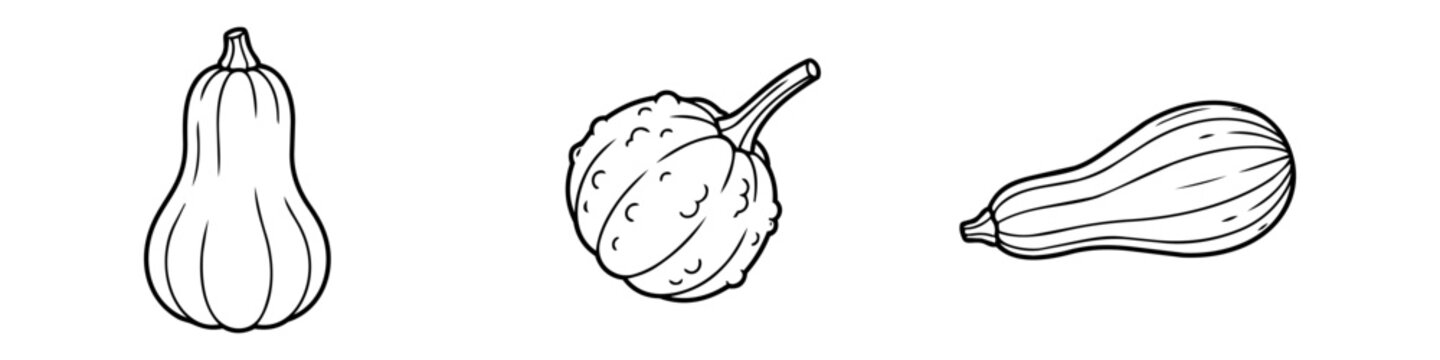 Hand-drawn line art illustration of various pumpkins and squashes, including butternut and warty varieties. Minimalist black and white harvest vegetables for coloring or seasonal design.