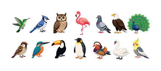 Fototapeta premium Collection of diverse bird species illustrated in a clean, modern style