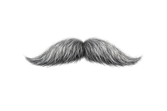 Male Stubble Mustache Illustration