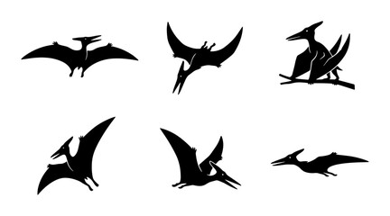 Pterodactyl Silhouettes, Flying Reptile Icons, Prehistoric Creature Vector Set, Dinosaur Graphics © komol