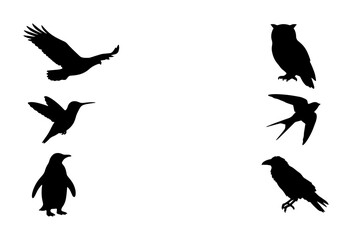 Fototapeta premium Diverse Bird Silhouettes Collection: Eagle, Hummingbird, Penguin, Owl, Swallow, Raven Vector Icons