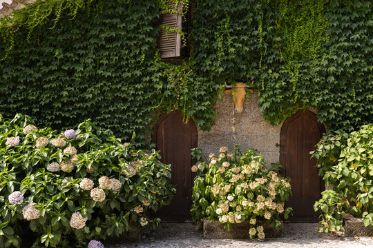 historic charming home, boutique hotel, cottage, with rounded wood doors and ivy walls and hydrangea