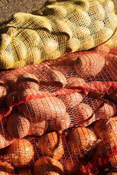 colorful sacks of potatoes, textural, bold, bright sunlight