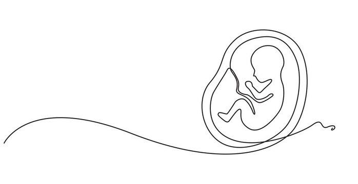 Baby embryo in womb one line drawing. Cute unborn fetus baby on mother womb isolated on white background, Animated self drawing of continuous line draw baby in womb fetus symbol logo, baby in womb pro