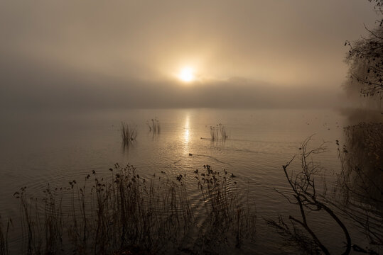 sunrise over the lake