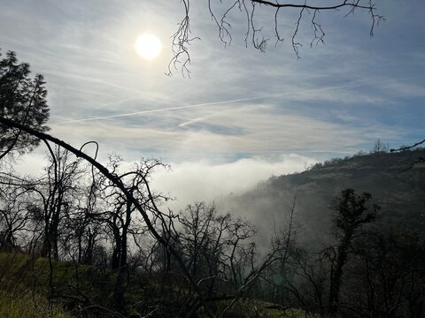 Foggy Mountain