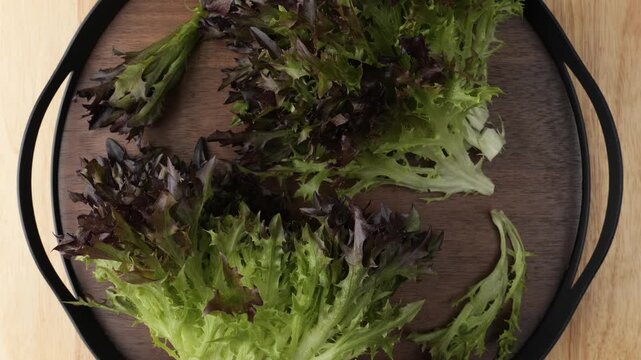 Fresh red leaf lettuce rotating on a wooden tray