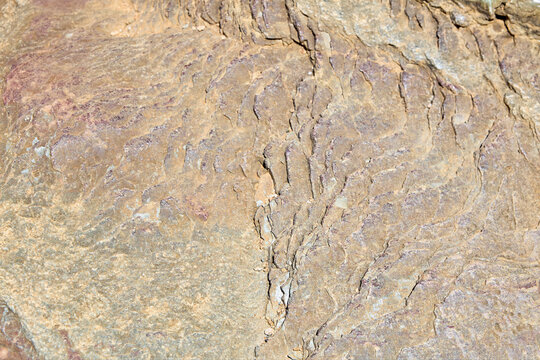 Ancient carvings etch deep into sun-baked stone