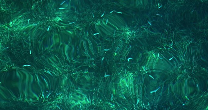 sea fish swim in laser-clear water in one of the bays of the Aegean Sea, blue color, waves
