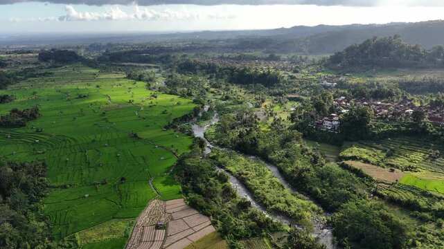 High oblique aerial motion over rice paddies with meandering river and rural settlement under bright daylight and blue sky, with aerial, rice, paddy, field detail