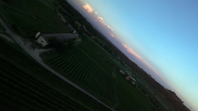 Aerial FPV style drone shot diving into rows of grapevines under a beautiful sky