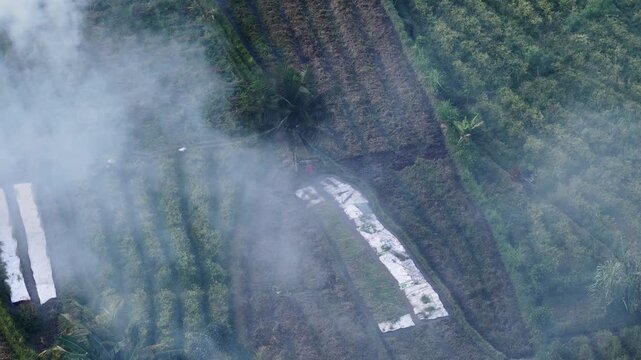 Aerial view of terraced tropical farmland with drifting smoke and white crop coverings over sloped patchwork fields under diffused morning mist, with aerial, terrace, agriculture, smoke detail