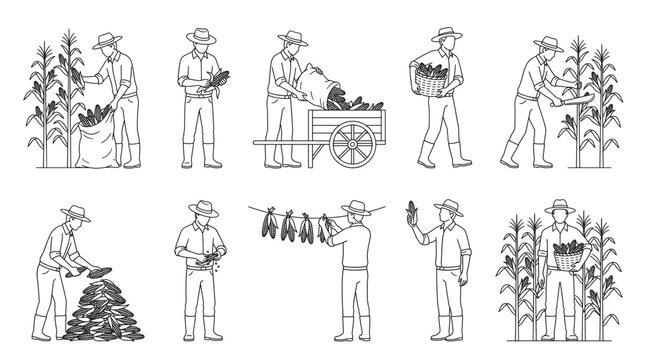 Corn farmer harvesting maize line art set farmer activities vector illustration