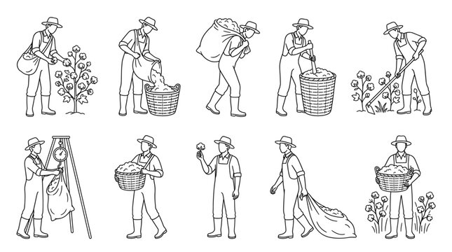 Cotton farmer harvesting cotton line art set farmer activities vector illustration
