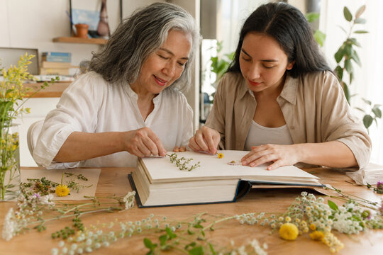 Senior Woman and Young Woman Creating Pressed Flower Album Together