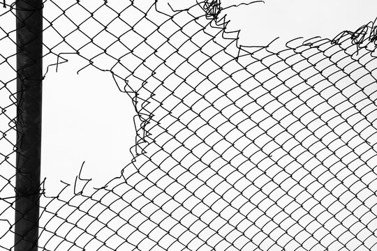 Opening in metallic fence isolated on white sky background Challenge. uncertainty. breakthrough concept. metaphor. Chain-link, wire netting, wire-mesh fence.
