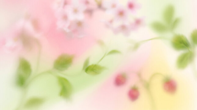 spring floral background with soft focus flowers and strawberry