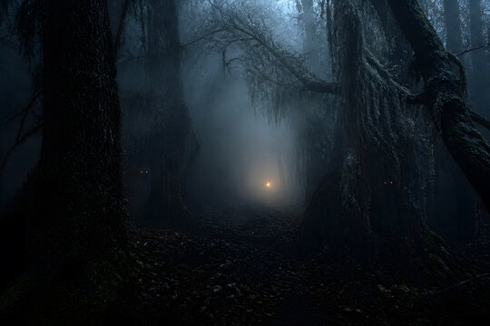spooky mossy forest with glowing eye lurking beside warm lantern light in deep misty dark