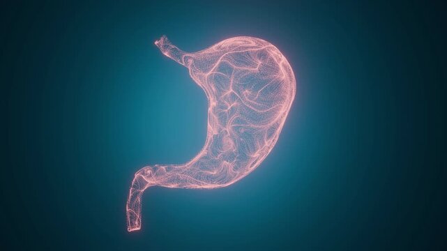 Abstract 3D stomach model made of glowing particles on dark blue background