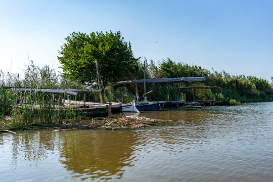 Peaceful wooden fishing boats moored on tranquil lake river shore surrounded by lush green reeds, trees, vibrant nature landscape under sunny blue sky, scenic countryside summer travel background