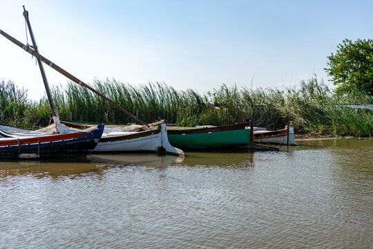 Peaceful wooden fishing boats moored on tranquil lake river shore surrounded by lush green reeds, trees, vibrant nature landscape under sunny blue sky, scenic countryside summer travel background