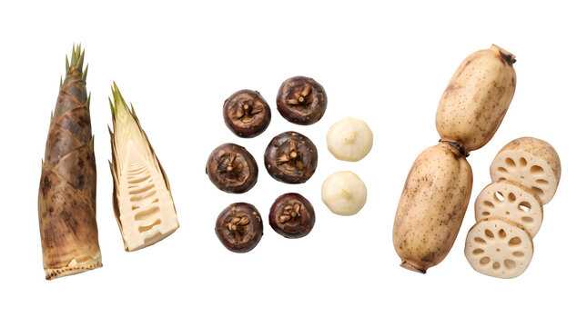 Asian root vegetables collection, fresh bamboo shoots and lotus root with water chestnuts, raw exotic ingredients on white background