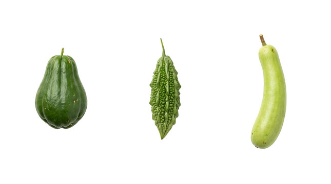 Fresh green exotic vegetables, chayote squash and bitter melon with bottle gourd, organic tropical produce on white background