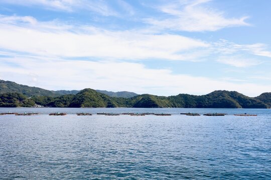 愛媛県八幡浜港の魚の養殖場。海に浮かぶ養殖いけす。コピースペースあり