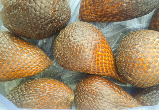 close-up full frame of fresh snake fruits salak with scaly skin