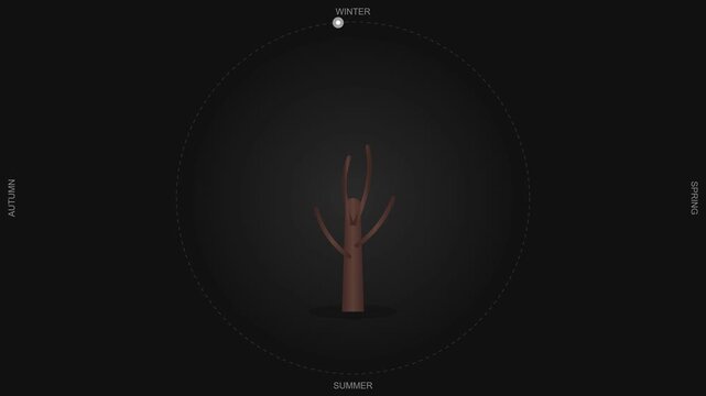 Minimalist Motion Graphics Animation of a Tree Cycle Through Four Seasons Winter Spring Summer Autumn