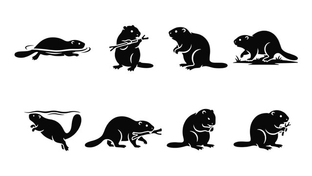 Set of black silhouettes of beavers in various poses, including swimming, standing, walking, and gnawing on wooden sticks, isolated on white background