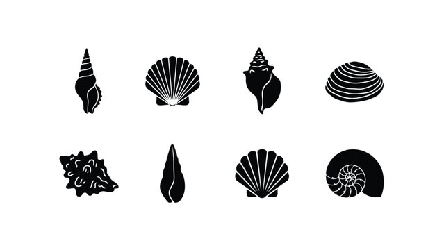Set of eight black silhouette of various sea shells, including scallop, spiral, and conch shells on a white background