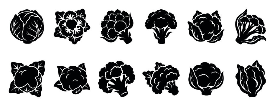 Black silhouette icons of cabbage and cauliflower vegetables in a stylized graphic collection showing different forms and angles for logo or design elements