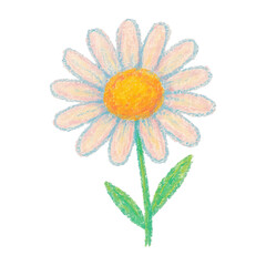 Obraz premium PNG Colorful crayon daisy illustration.