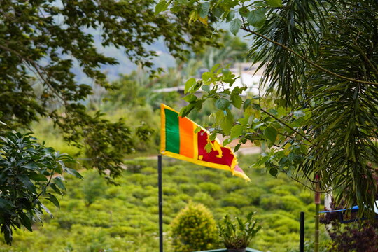 Sri Lankan Flag Overlooking a Lush Tea Plantation and Hills in Matale
