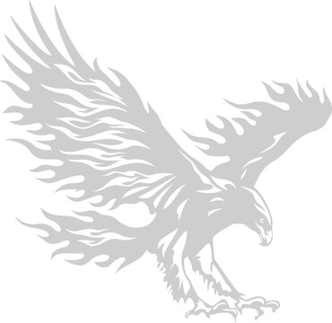 eagle vector