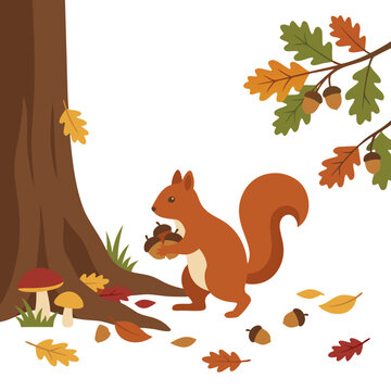 Cute red squirrel holding acorns near a big oak tree trunk with a burrow nest, surrounded by colorful fallen autumn leaves, mushrooms, and oak branches. Flat vector illustration of forest wildlife iso