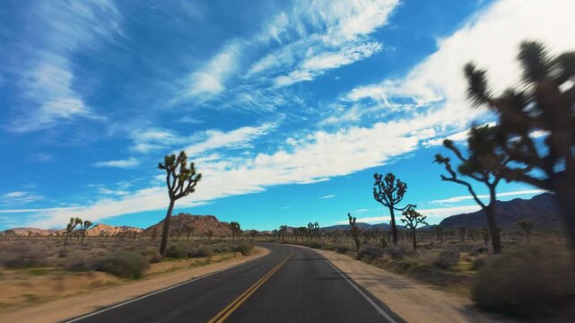 Joshua Tree National Park POV Drive Through Joshua Tree Landscape