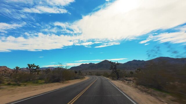 Joshua Tree National Park POV Drive on Curving Desert Road