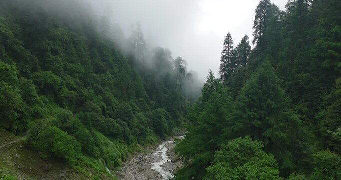 Panchpokhari, Sindhupalchowk, Nepal, aerial shot gliding over a flowing glacial stream lined with dense green pine forest, with heavy monsoon fog and low clouds clinging to the steep mountain