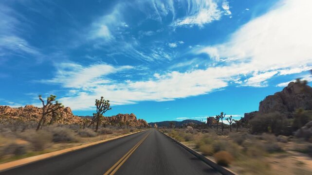 Joshua Tree National Park POV Drive Through Desert Trees and Mountains