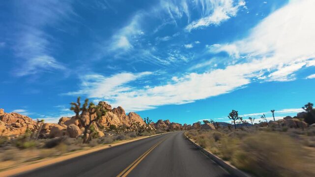 Joshua Tree National Park POV Drive Past Joshua Trees and Boulders