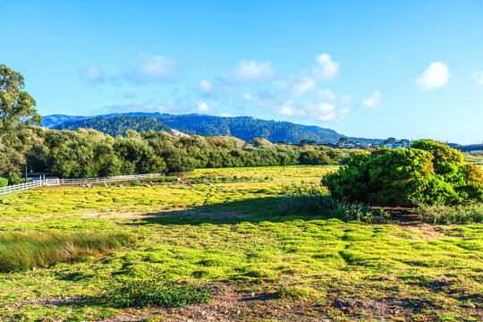 View of Carmel Mission Ranch