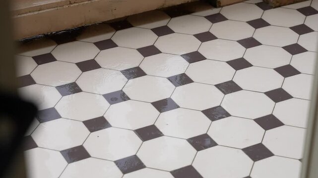 Close-up shot of patterned black and white octagonal tiles with square insets in an indoor space, illuminated by soft natural light, showcasing classic flooring and geometric design.